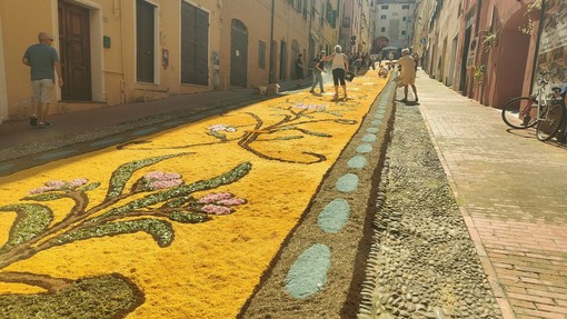 Infiorata del Corpus Domini in Via Carducci a Imperia Infiorata del Corpus Domini in Via Carducci a Imperia