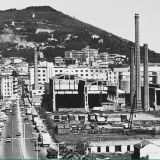 ACCADDE OGGI, 11 MAGGIO 1982. Viaggia in scooter su lungomare Vespucci e si scontra improvvisamente con un...elefante