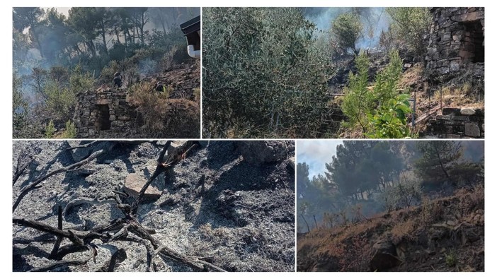 "Accerchiata dalle fiamme",  la mattina di terrore di Graziana Corso a Diano Calderina