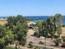 Imperia, parte la raccolta firme contro il bosco urbano sul lungomare Imperia, parte la raccolta firme contro il bosco urbano sul lungomare