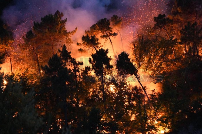 La provincia di Imperia è nona in Italia per denunce di reati: quarto posto nazionale per tentati omicidi e incendi La provincia di Imperia è nona in Italia per denunce di reati: quarto posto nazionale per tentati omicidi e incendi