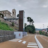 Ciclabile di Imperia, investimenti sul verde: acquistati 140 cactus