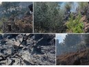 "Accerchiata dalle fiamme", la mattina di terrore di Graziana Corso a Diano Calderina "Accerchiata dalle fiamme", la mattina di terrore di Graziana Corso a Diano Calderina