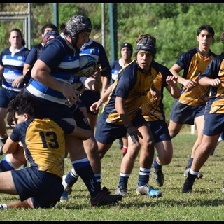 Imperia Rugby, riparte la stagione: nuova organizzazione, tecnico confermato e sinergia territoriale con Savona e Sanremo