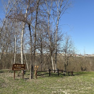 Il Bosco di Narzole, in Val Tanaro, sarà ripulito da una quarantina di baby boscaioli