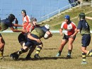 Imperia Rugby, U16 sconfitta a Savona ma il cantiere funziona. U12: buona la prima al raggruppamento Imperia Rugby, U16 sconfitta a Savona ma il cantiere funziona. U12: buona la prima al raggruppamento