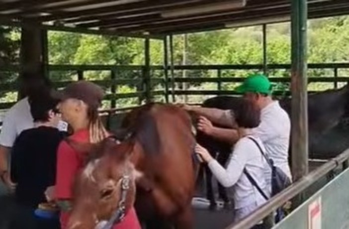 Una giornata di gioia e progressi per i ragazzi dell’Isah al Ranch di Montegrazie