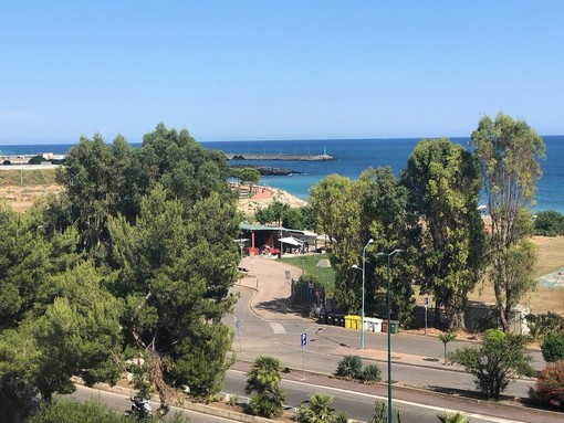 Imperia, parte la raccolta firme contro il bosco urbano sul lungomare