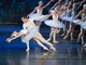 Spettacolo di balletto ‘Il lago dei cigni’ all'Auditorium Apollon dell’Acropoli di Nizza