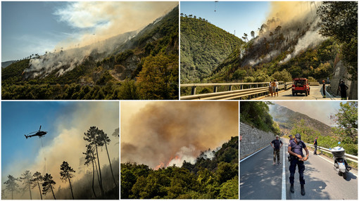 Grosso incendio tra Taggia e Badalucco: strada provinciale a senso unico alternato (foto e video)