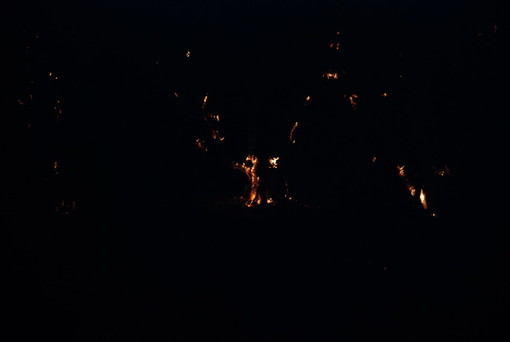Imperia: incendio boschivo nella zona di Torrazza vicino alle abitazioni, in azione i Vigili del Fuoco