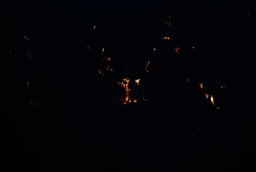 Imperia: incendio boschivo nella zona di Torrazza vicino alle abitazioni, in azione i Vigili del Fuoco Imperia: incendio boschivo nella zona di Torrazza vicino alle abitazioni, in azione i Vigili del Fuoco