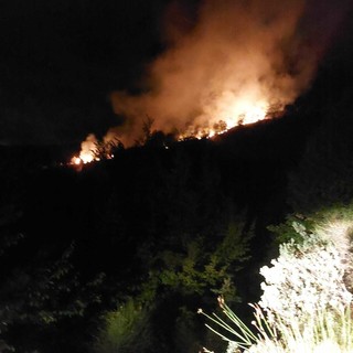 Prelà, incendio boschivo nella notte a Valloria: tempestivo l'intervento dei vigili del fuoco