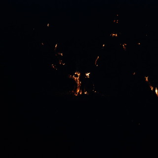 Imperia: incendio boschivo nella zona di Torrazza vicino alle abitazioni, in azione i Vigili del Fuoco