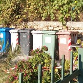 Imperia, emergenza rifiuti in via Cesare Battisti: isola ecologica invasa dai topi Imperia, emergenza rifiuti in via Cesare Battisti: isola ecologica invasa dai topi