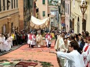 Infiorate in via Carducci a Imperia, Diano Marina e nella frazione di Diano Calderina, e a Diano Castello Infiorate in via Carducci a Imperia, Diano Marina e nella frazione di Diano Calderina, e a Diano Castello