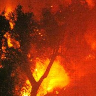 Prelà: incendio spento nel primo pomeriggio bruciata vasta porzione di vegetazione