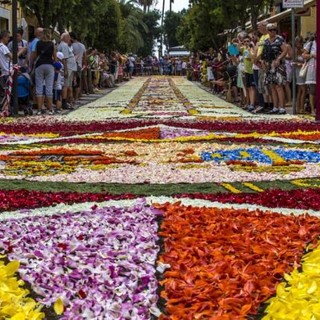 Infiorate per il Corpus Domini