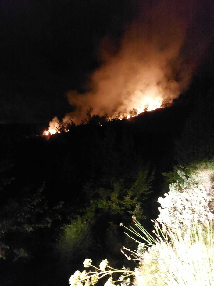 Prelà, incendio boschivo nella notte a Valloria: tempestivo l'intervento dei vigili del fuoco