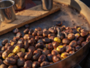 Motori, castagne e cultura: uno speciale weekend d’autunno tra adrenalina, tradizioni e bellezza Motori, castagne e cultura: uno speciale weekend d’autunno tra adrenalina, tradizioni e bellezza