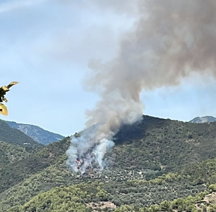Ventimiglia: incendio a Verrandi, intervento dell'elicottero e delle squadre a terra Ventimiglia: incendio a Verrandi, intervento dell'elicottero e delle squadre a terra