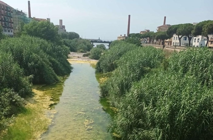 Zarbano lancia l’allarme: “Zanzare e rifiuti organici, servono interventi urgenti per la tutela della salute pubblica” Zarbano lancia l’allarme: “Zanzare e rifiuti organici, servono interventi urgenti per la tutela della salute pubblica”