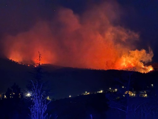 Incendio sulle alture di Gavenola, fiamme spinte dal vento nella notte (Foto)