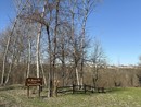 Il Bosco di Narzole, in Val Tanaro, sarà ripulito da una quarantina di baby boscaioli Il Bosco di Narzole, in Val Tanaro, sarà ripulito da una quarantina di baby boscaioli