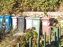 Imperia, emergenza rifiuti in via Cesare Battisti: isola ecologica invasa dai topi Imperia, emergenza rifiuti in via Cesare Battisti: isola ecologica invasa dai topi