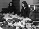L'AMARCORD DEL SABATO.  Gennaio 1941: a Dolcedo gli scolari raccolgono le olive per comprare la lana che le alunne trasformeranno  in indumenti per i soldati in guerra