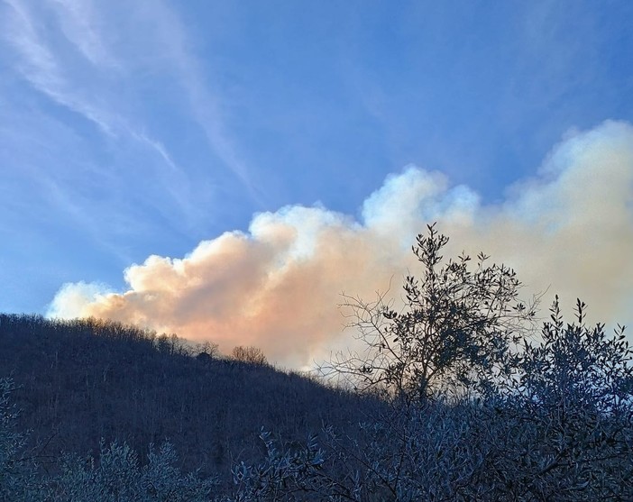 Incendio boschivo tra Colle d'Oggia e San Bernardo di Conio:  in azione Canadair ed elicottero
