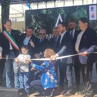 Diano Marina, al via 'Aromatica': 90 espositori nelle vie del centro (foto e video)