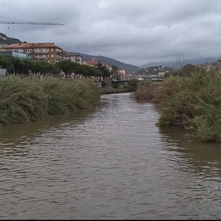 Maltempo a Imperia, le immagini della pioggia battente (video) Maltempo a Imperia, le immagini della pioggia battente (video)