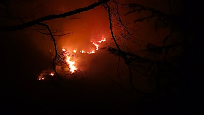 Ancora fiamme nei boschi attorno a Diano San Pietro
