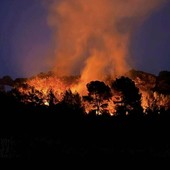 Incendi nell’Imperiese, ancora focolai nella notte: i vigili del fuoco tengono sotto controllo il fronte Incendi nell’Imperiese, ancora focolai nella notte: i vigili del fuoco tengono sotto controllo il fronte