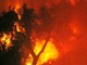 Prelà: incendio spento nel primo pomeriggio bruciata vasta porzione di vegetazione