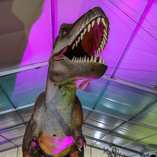 'Jurassic Expo' sul Lungomare Vespucci a Imperia 'Jurassic Expo' sul Lungomare Vespucci a Imperia