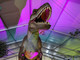 'Jurassic Expo' sul Lungomare Vespucci a Imperia