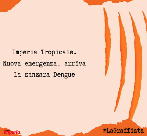 LA GRAFFIATA. Imperia Tropicale. Nuova emergenza, arriva la zanzara Dengue LA GRAFFIATA. Imperia Tropicale. Nuova emergenza, arriva la zanzara Dengue