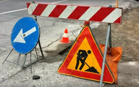 A San Bartolomeo modifiche alla viabilità in via della Torre per eliminare due pini marittimi a rischio