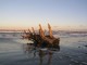 Salvamare: Rixi, Di Muro, Foscolo e Viviani (Lega), “Recupero legnami in spiaggia e nei torrenti: nostro emendamento a sostegno dei Comuni”