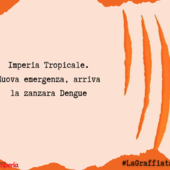 LA GRAFFIATA. Imperia Tropicale. Nuova emergenza, arriva la zanzara Dengue