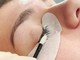 Laminazione ciglia coreana: l’evoluzione dei trattamenti lash professionali