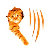 LA GRAFFIATA. Finale Provinciali: Real Scajola batte Dopolavoro Schlein 9-1 LA GRAFFIATA. Finale Provinciali: Real Scajola batte Dopolavoro Schlein 9-1