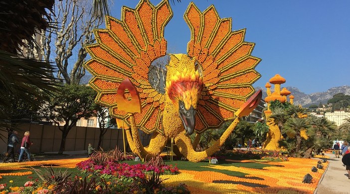 Esposizione dei motivi di Agrumi ai Giardini Biovès di Mentone Esposizione dei motivi di Agrumi ai Giardini Biovès di Mentone