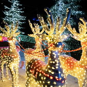 Ecco il weekend che accende il Natale: musica, teatro e festa in tutta la Riviera e l’entroterra