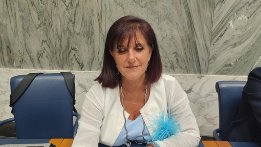 'Liceo Classico', l'intervento in consiglio comunale di Laura Amoretti