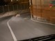 Imperia, un lupo a spasso in centro a Oneglia (video)