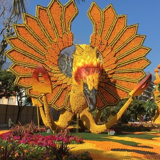 Esposizione dei motivi di Agrumi ai Giardini Biovès di Mentone