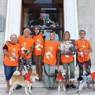 Lav Imperia, Bonino: "I cinghiali? La caccia non è la soluzione" Lav Imperia, Bonino: "I cinghiali? La caccia non è la soluzione"